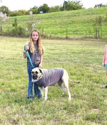 HALO Pet Show at Hughes County Free Fair