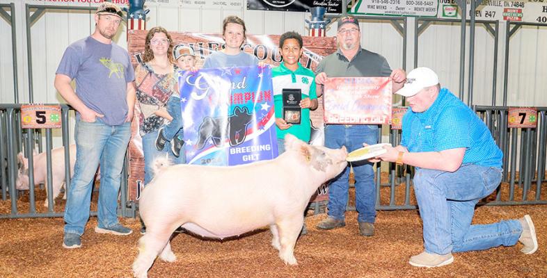 Cooper Inselman - Grand Champion Breeding Gilt
