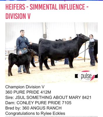 CONGRATULATIONS RYLEE ECKLES! Division winner and Bronze overall Simmental Influence at OYE.
