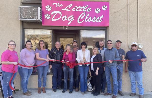 Little Dog Closet Open for Business, Not Just for Little Dogs