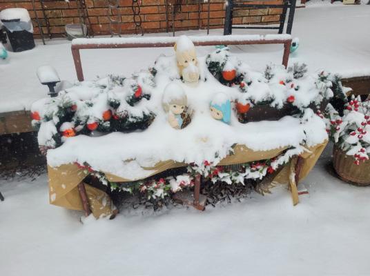 Submitted by Tena Kibby