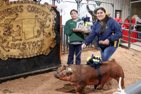 Hughes County Livestock Show Highlights