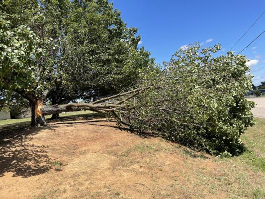 STORMS RIPPED THROUGH HOLDENVILLE SATURDAY NIGHT