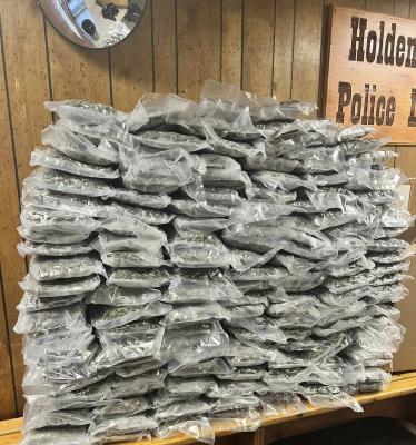 HOLDENVILLE TRAFFIC STOP