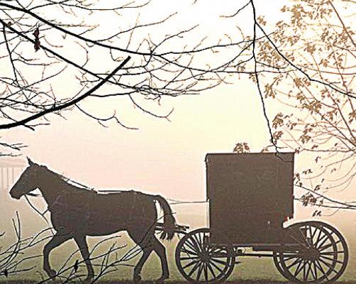 The Amish Cook