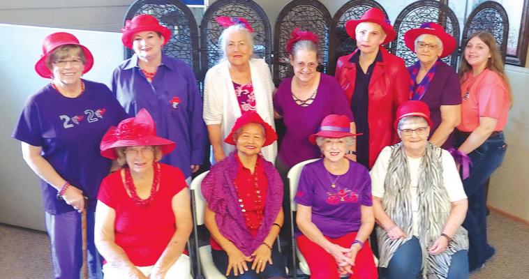 RED HATTERS ENJOYING THE RECENT MONTHLY GATHERING ARE: (front row) Wanda Price, Margie Mairel, Lynn Marquis and Wanda Shaw. (back row) Glenda Stinson, Diane Bowman, Helen Wright, Cindy McDaniel, Debbie Fine, Linda Tyler and Avery.