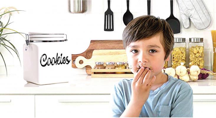 Progressive 5-Year-Old Claims Cookie Crumbs All Over His Face Are Part of Russian Disinformation Campaign