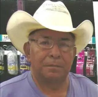 Pedro Meneses