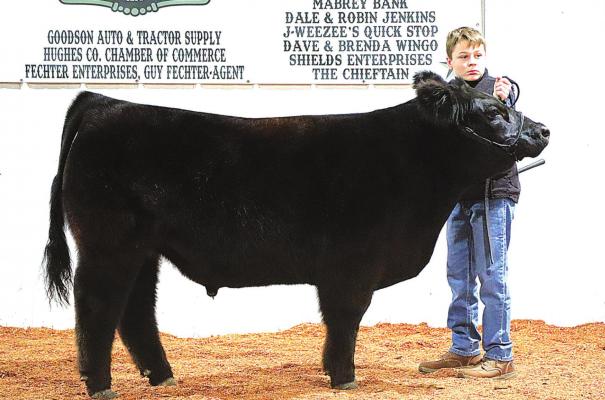 Holdenville Livestock Show