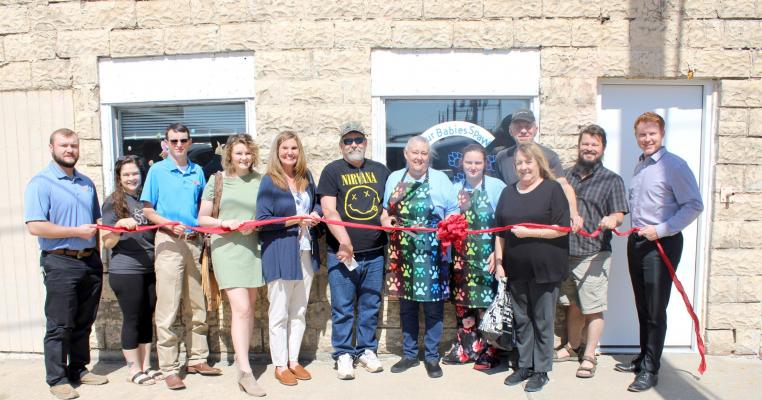 Lisa Lester and Maggie King are excited to announce the opening of their new business, Fur Babies Spaw. They have years of experience grooming and caring for animals. Go by and see them at 117 South Broadway in Holdenville for all of your dog grooming needs.