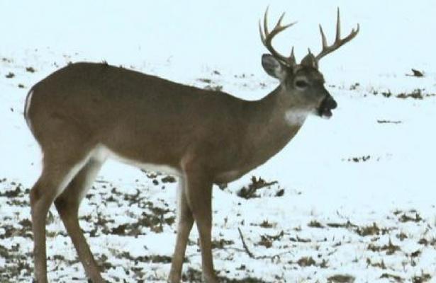 Snow Days in Holdenville