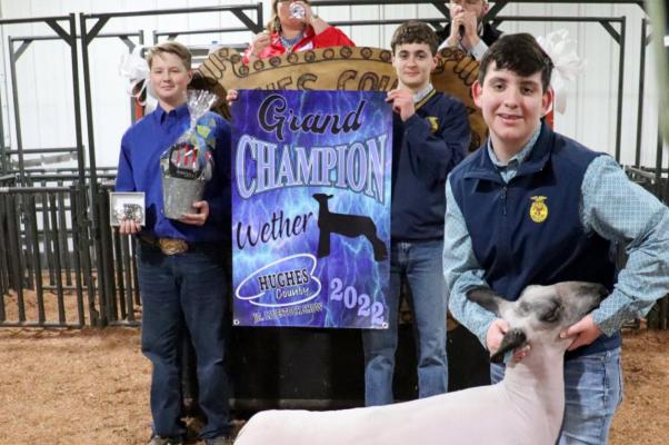 Livestock Show Winners