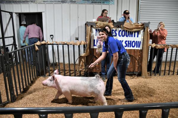 Macy Lasater- 3rd Place Class 1 Cross Market Hog