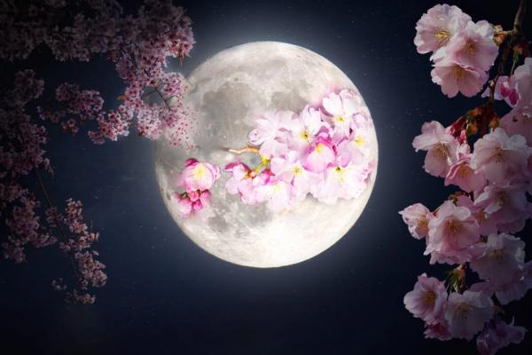 FULL ‘FLOWER MOON’ IN MAY TO SHINE IN THE SPRINGTIME SKY HERE’S HOW IT GOT ITS ROSY NAME