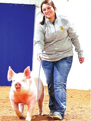 Livestock Show pictures