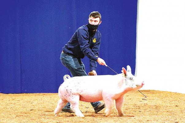 Holdenville Livestock Show