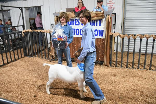 Tredyn Armstrong- Res Champion Div 6 Wether Goat