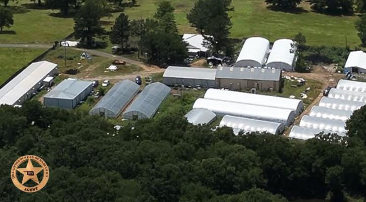 OBN halts illegal marijuana operation in Hughes County