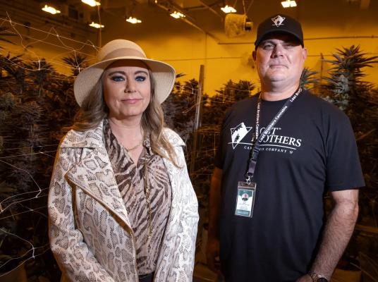 GROWERS SAY OKLAHOMA’S CANNABIS BONANZA IS GOING TO POT