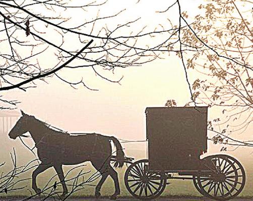 The Amish Cook