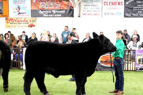 Landen Yates- 1st Place Class 8 Market Steers