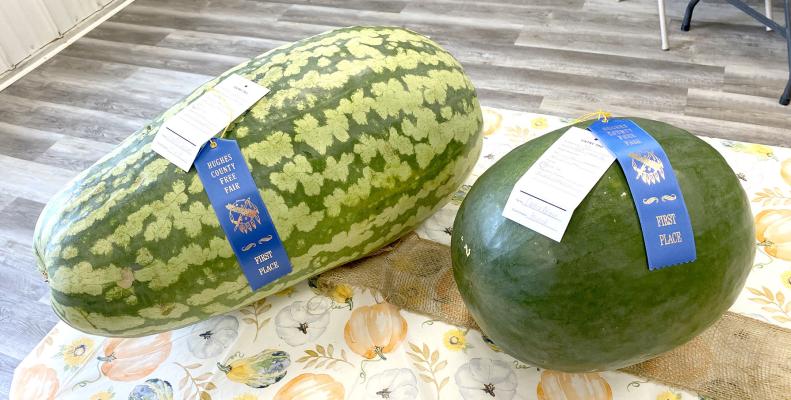 Hughes County Fair Highlights