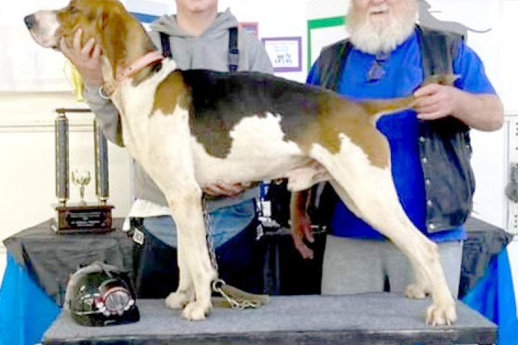 He is pictured with his dog “Rock”, who he got from County Commissioner Kelly Campbell, who is very helpful to the youth in this sport. Also pictured is Don Sims of Allen, who has been so helpful in taking Jeffery to competition hunts that are out of the area. Jeffery was born and raised here and is the son of James and Kara Pembrook. He has five brothers and one sister, and they all participate in the hunts as well. Jeffery is a ninth-grade student at Holdenville High School.