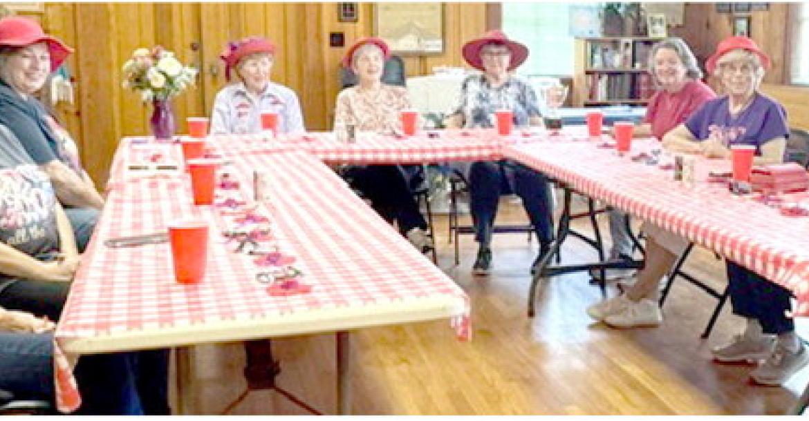 RED HATS ENJOY PICNIC IN COMFORT
