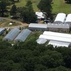 OBN halts illegal marijuana operation in Hughes County